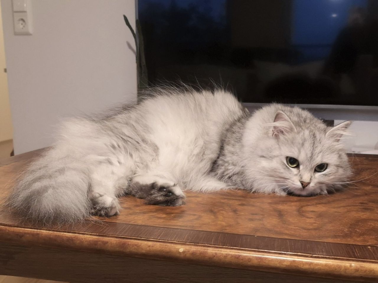 Zelda
